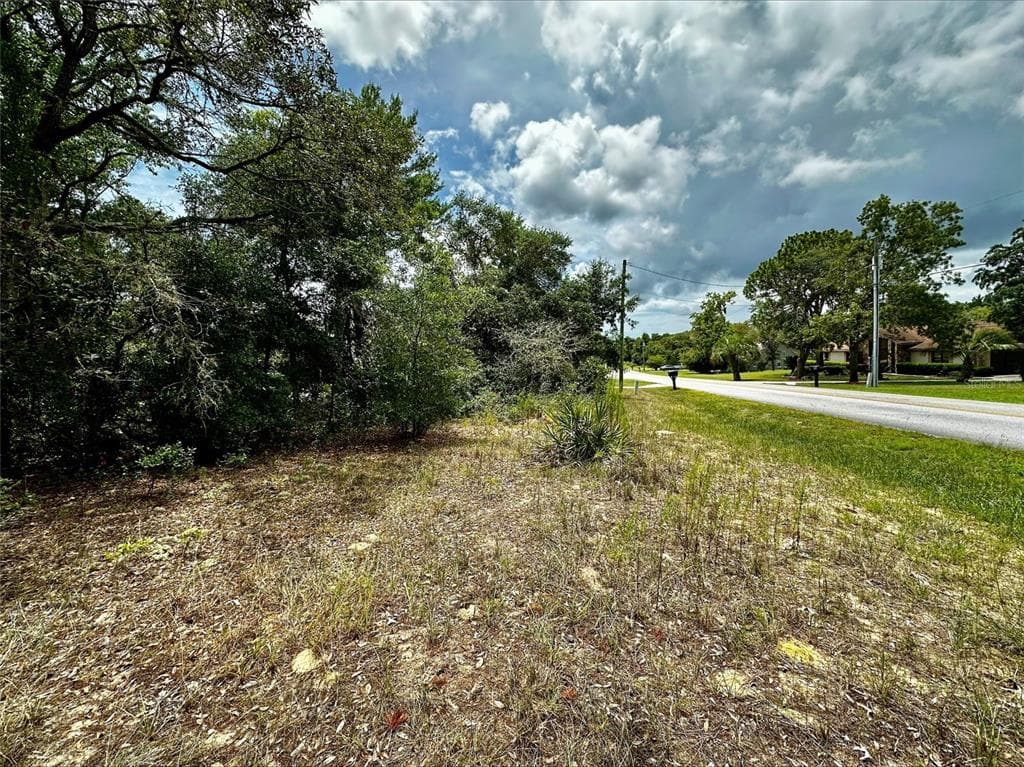724 E SAVOY STREET LECANTO, FL 34461