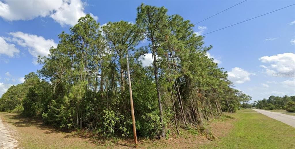 1054 BELMONT STREET E LEHIGH ACRES, FL 33974