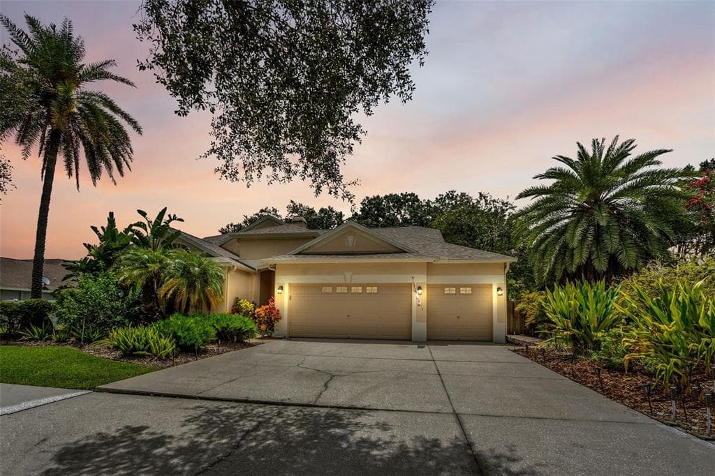 12521 RIVER BIRCH DRIVE RIVERVIEW, FL 33569