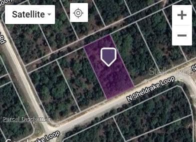 SHELDRAKE LOOP BROOKSVILLE, FL 34614