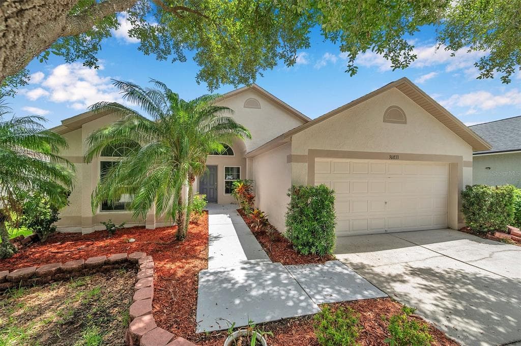 30833 BIRDHOUSE DRIVE WESLEY CHAPEL, FL 33545