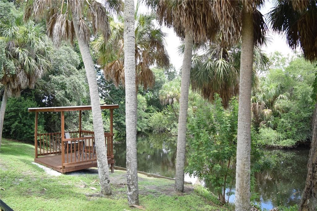 8706 WOODVINE COURT TAMPA, FL 33615