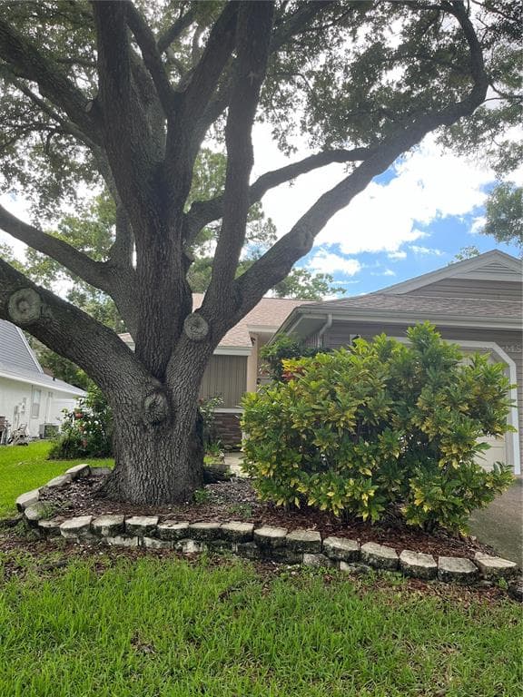 294 IXORA DRIVE UNIT 294 PALM HARBOR, FL 34684