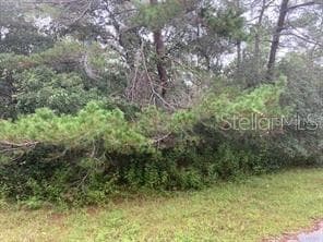 13285 CANADA GOOSE ROAD BROOKSVILLE, FL 34614
