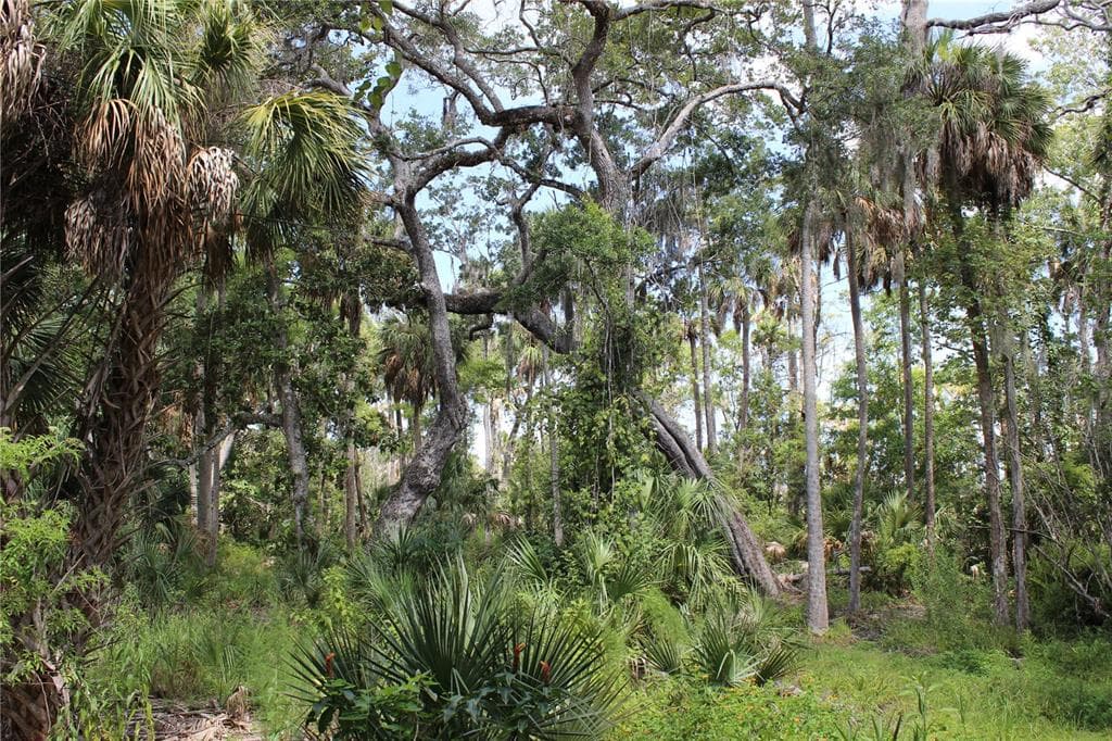 00 PREVATT LANE ARIPEKA, FL 34679