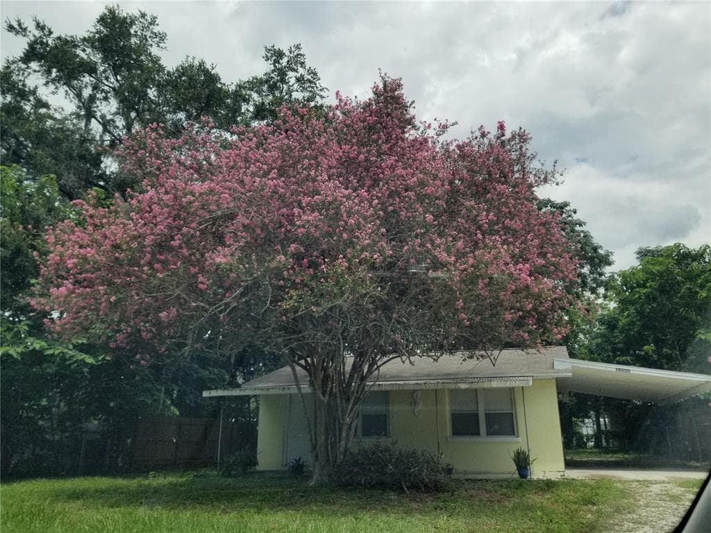 37322 STATE ROAD 54 ZEPHYRHILLS, FL 33542