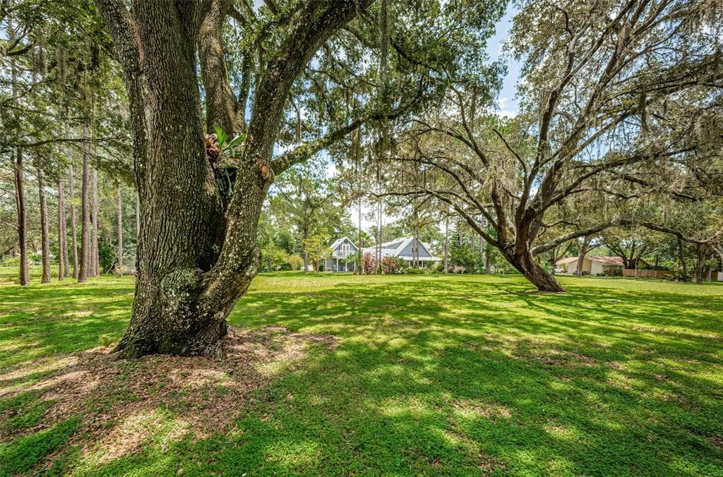 2406 TANGERINE HILL COURT LUTZ, FL 33549