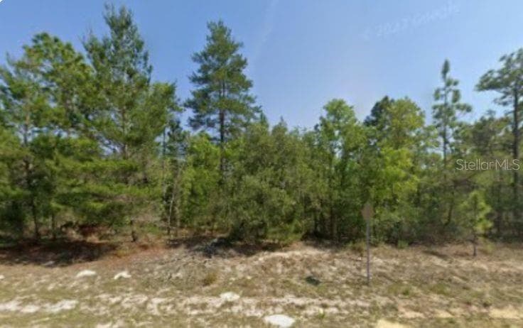 6940 N FOUNTAINHEAD DRIVE CITRUS SPRINGS, FL 34433