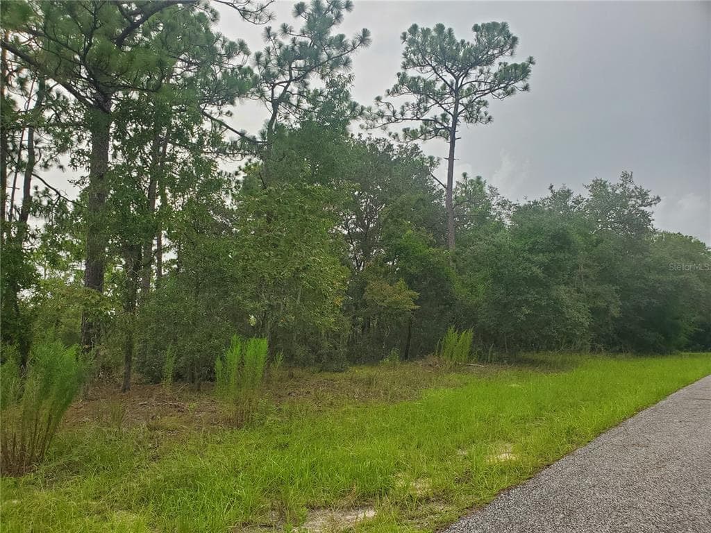 6584 N CLAYTON AVENUE DUNNELLON, FL 34434