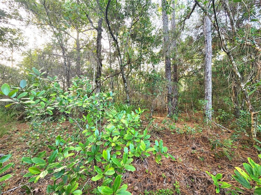 00 CANYON SWALLOW ROAD BROOKSVILLE, FL 34614