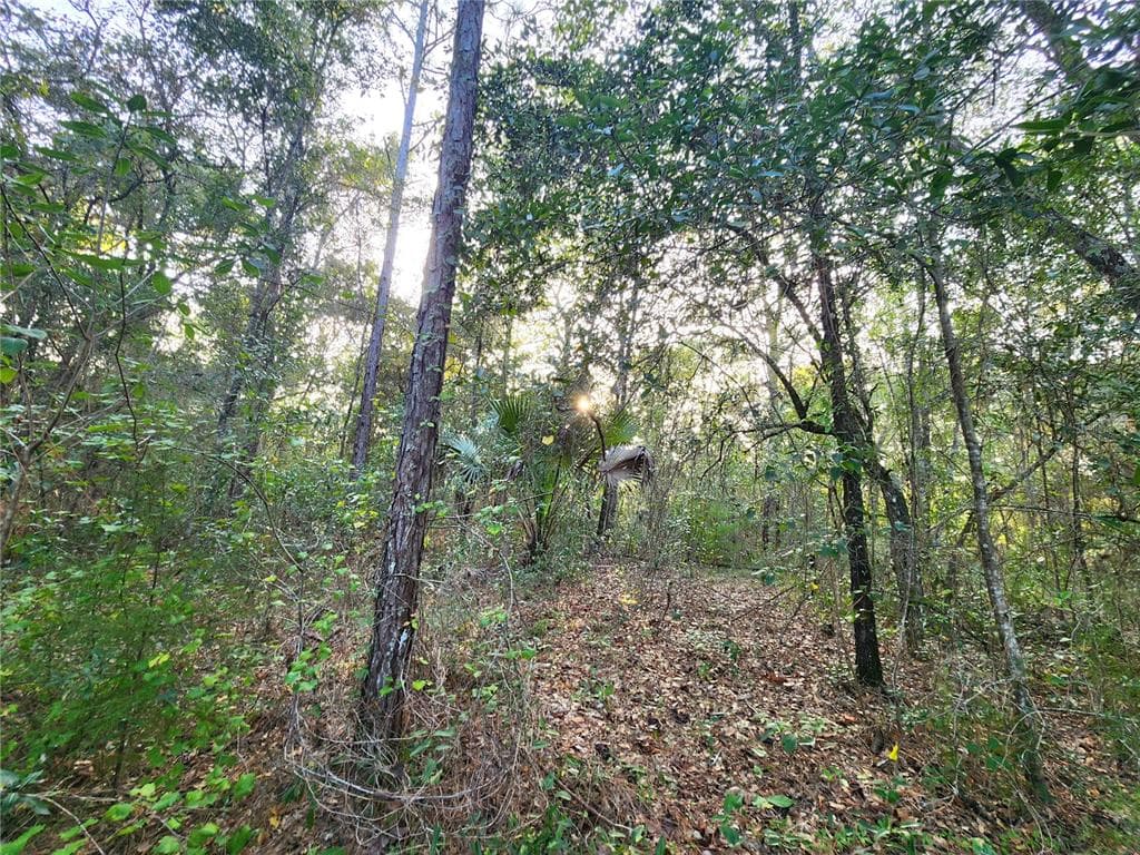 CANYON SWALLOW ROAD BROOKSVILLE, FL 34614