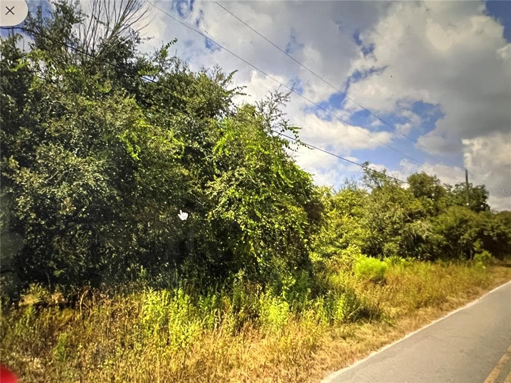 Lots 41-44 ADLER STREET NEW PORT RICHEY, FL 34654