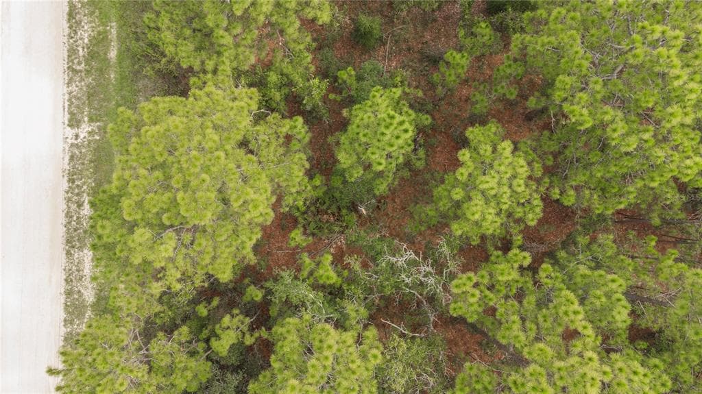 16186 MEDRICK ROAD BROOKSVILLE, FL 34614