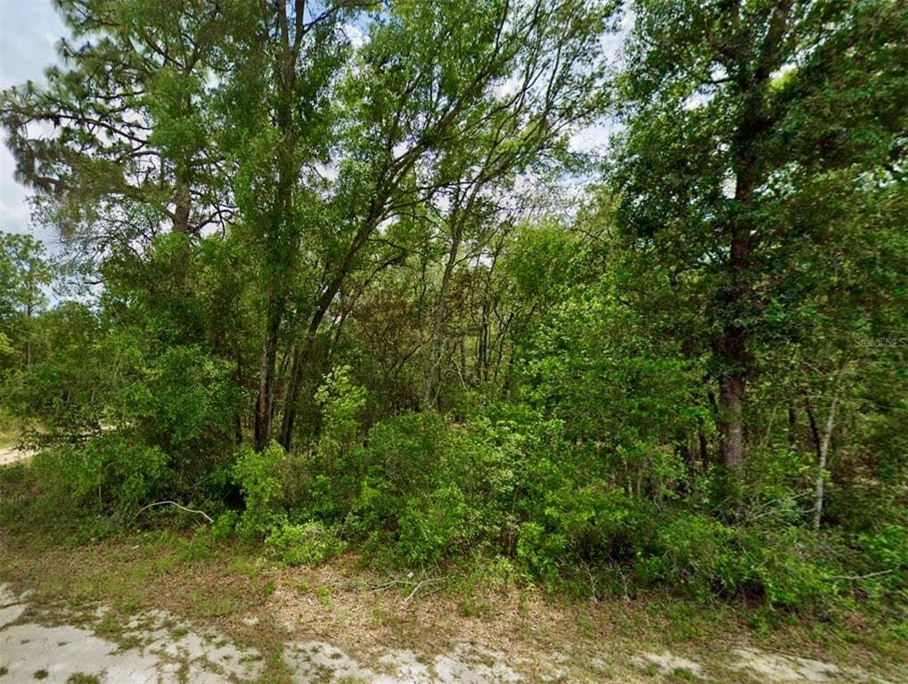 SE 106TH AVENUE OCKLAWAHA, FL 32179