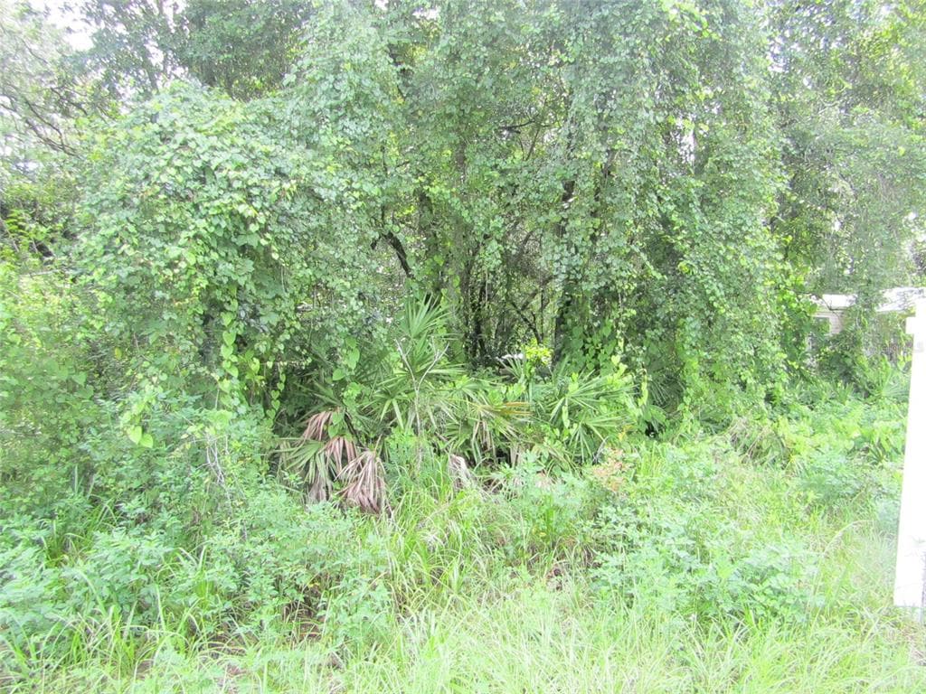ATLEE STREET NEW PORT RICHEY, FL 34654