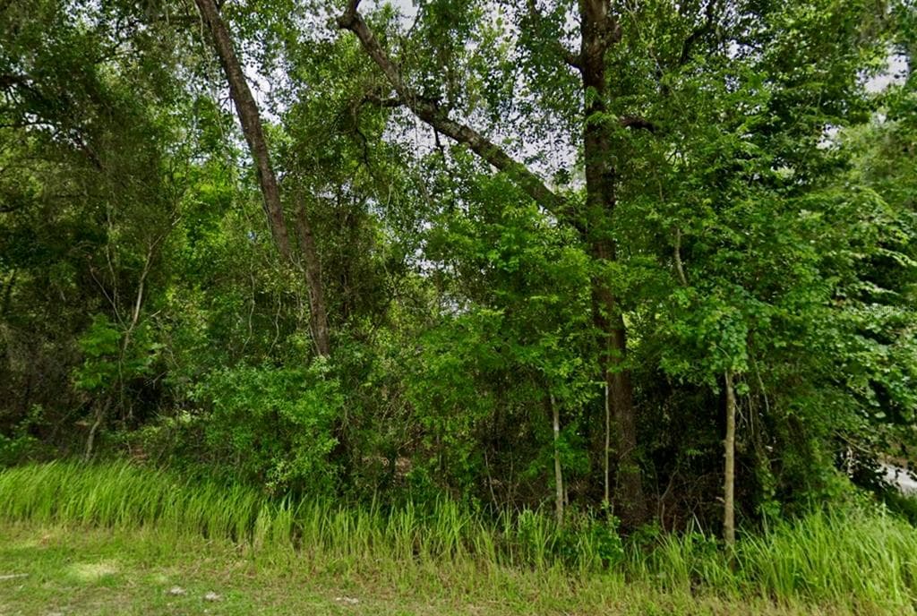 13335 SE 107TH COURT OCKLAWAHA, FL 32179