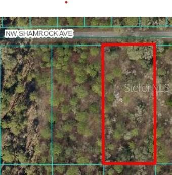 SHAMROCK AVENUE DUNNELLON, FL 34431