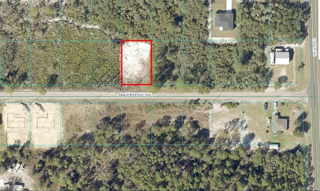 15 MALAUKA PASS WAY OCKLAWAHA, FL 32179