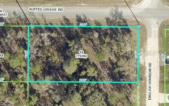 ENGLISH SPARROW ROAD BROOKSVILLE, FL 34614