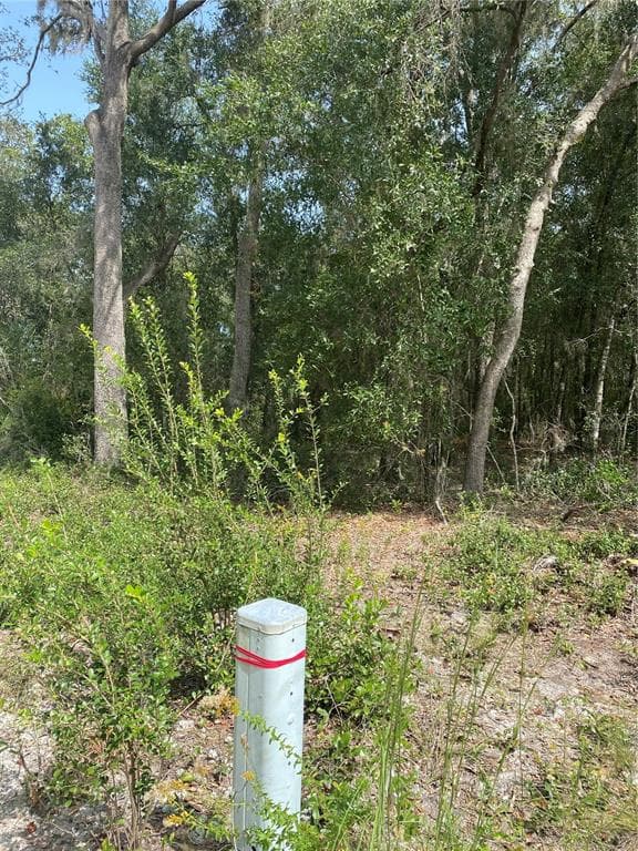 3355 PELICAN AVENUE INVERNESS, FL 34450