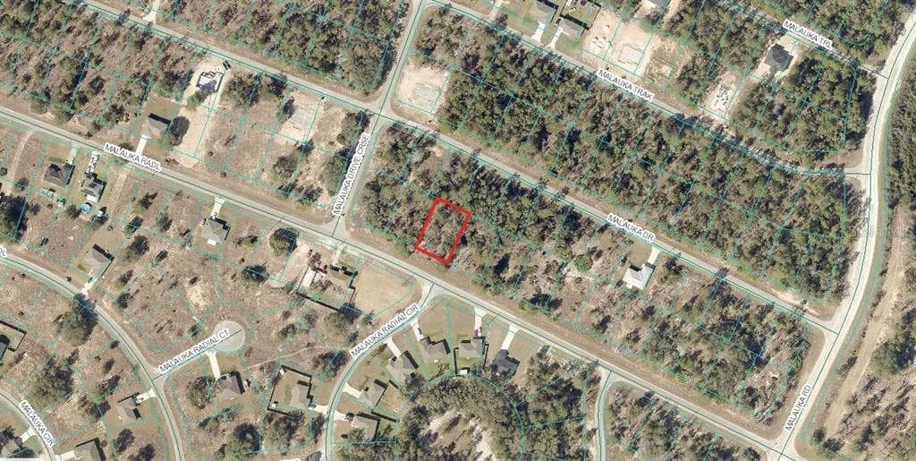 MALAUKA RADL OCKLAWAHA, FL 32179