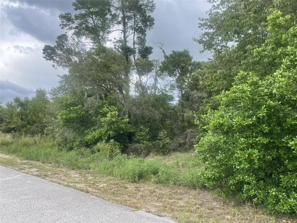 0 LYON ROAD SPRING HILL, FL 34606