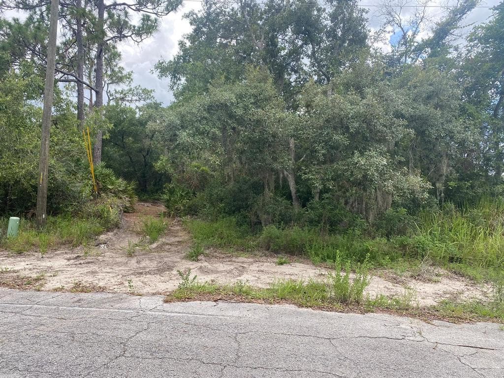 1529 ELOISE COURT KISSIMMEE, FL 34759