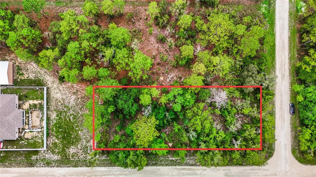 YELLOW TAIL AVENUE BROOKSVILLE, FL 34614