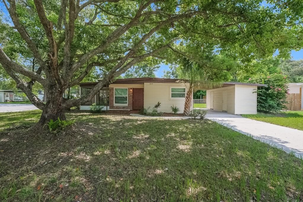 10119 N OLA AVENUE TAMPA, FL 33612