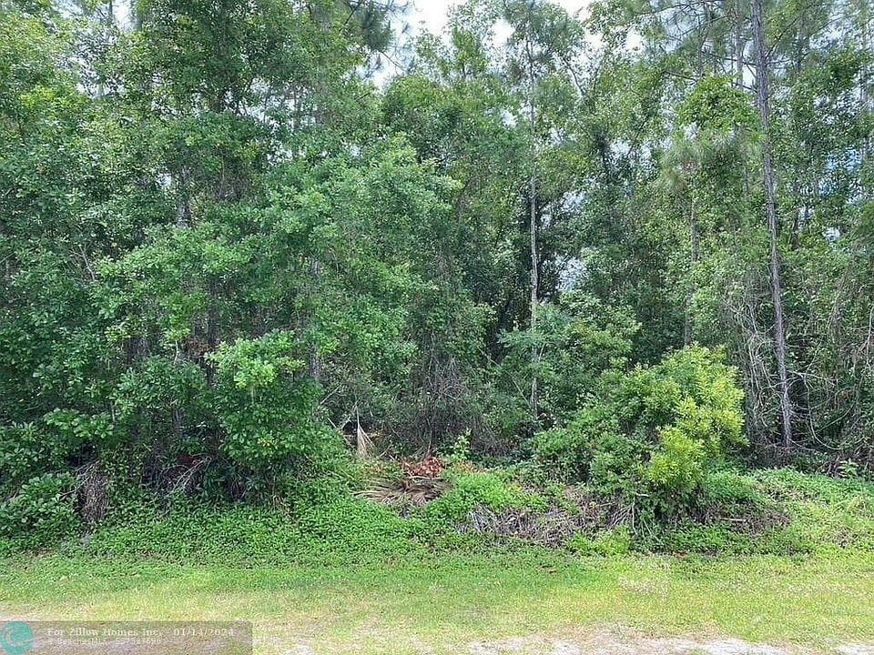 0 BELMONTE DRIVE INDIAN LAKE ESTATES, FL 33855
