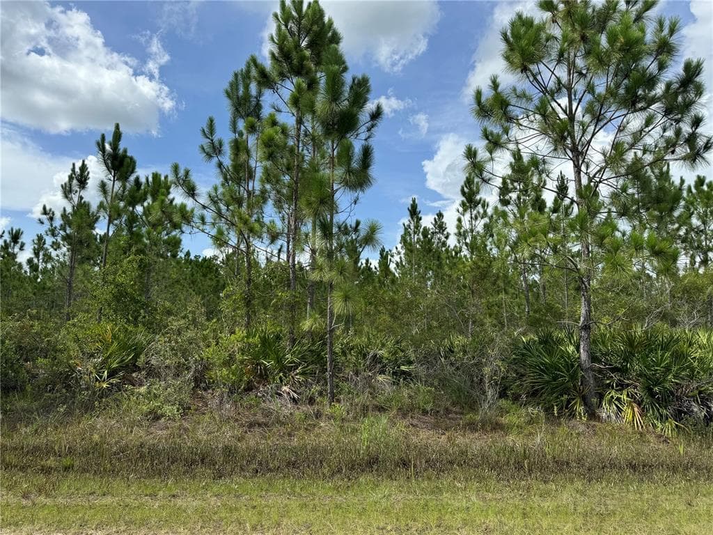 3621 CALENDULA DRIVE INDIAN LAKE ESTATES, FL 33855
