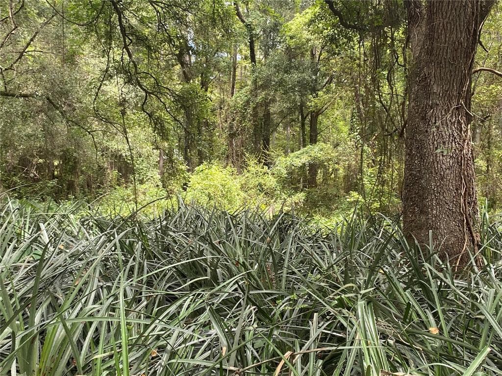 3168 MCKETHAN ROAD DADE CITY, FL 33523