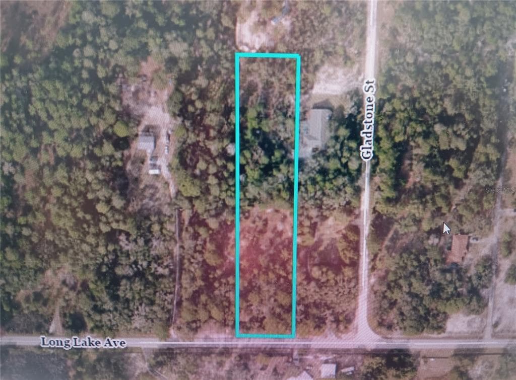 9167 LONG LAKE AVENUE WEEKI WACHEE, FL 34613