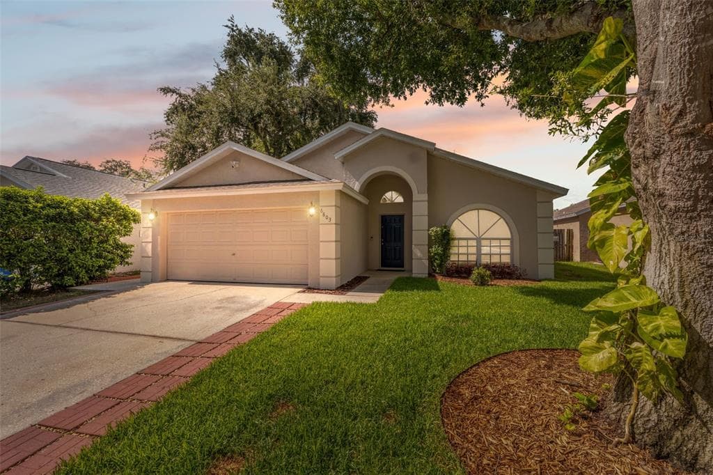 6803 SILVER BRANCH COURT TAMPA, FL 33625
