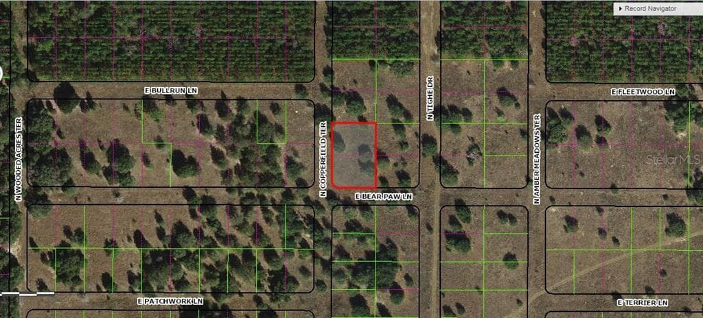 229 N COPPERFIELD TERRACE INVERNESS, FL 34453