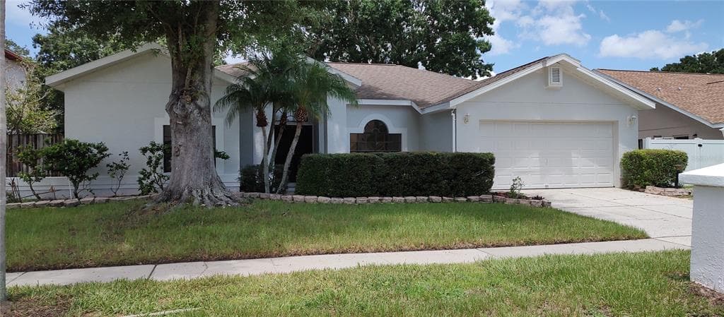 1138 BLUFIELD AVENUE BRANDON, FL 33511