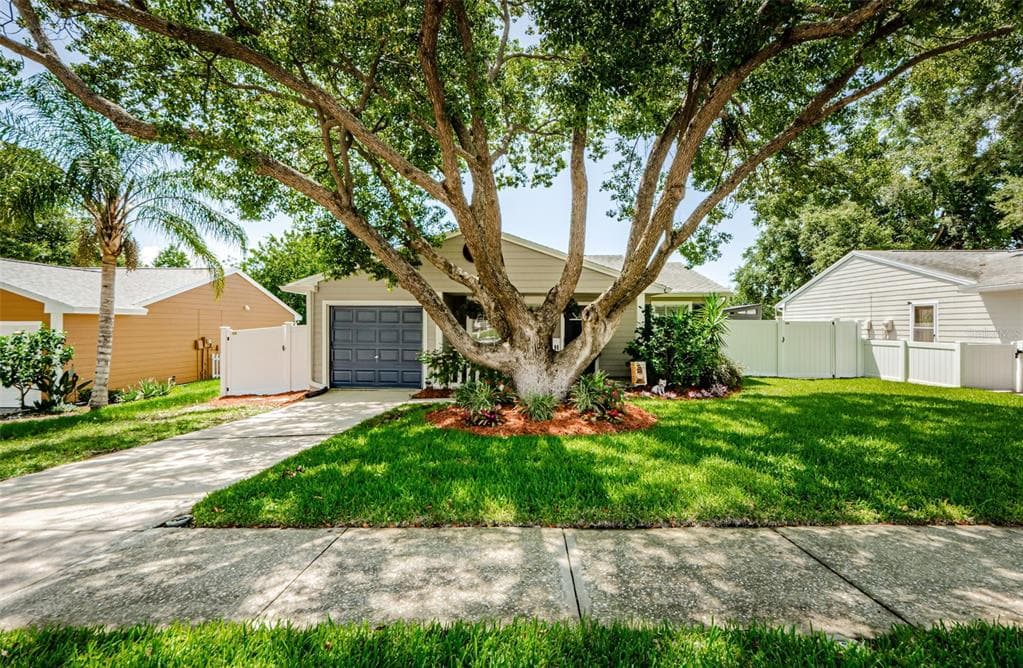 2768 DELANEY COURT PALM HARBOR, FL 34684