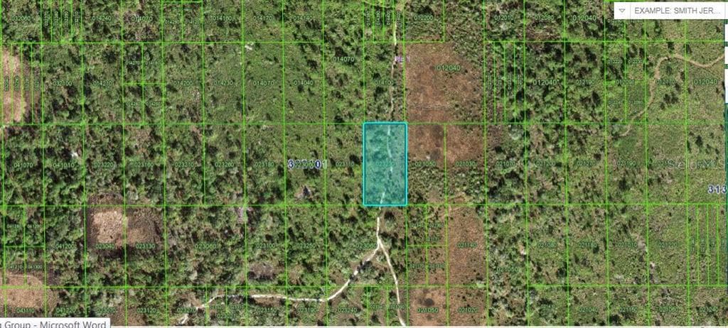 60 E STREET LAKE WALES, FL 33898