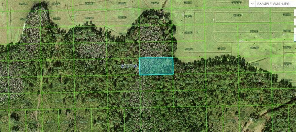 COMMONWEALTH AVENUE N POLK CITY, FL 33868