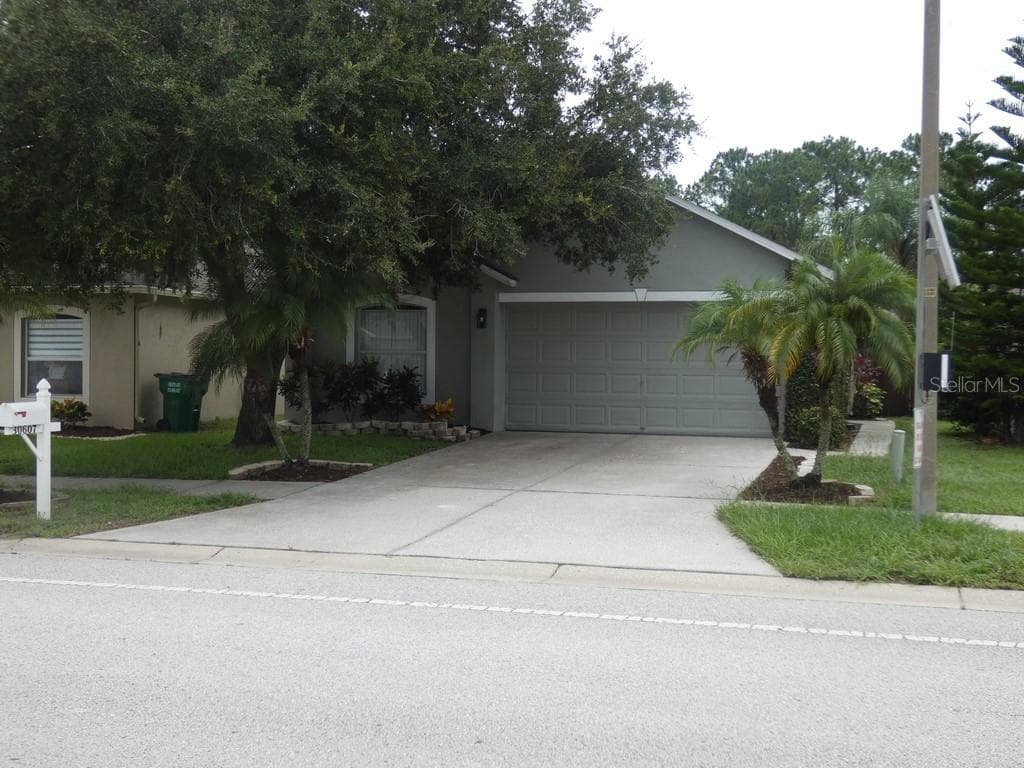 30607 BIRDHOUSE DRIVE WESLEY CHAPEL, FL 33545