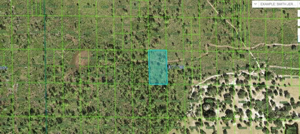 N/A LAKE WALES, FL 33898