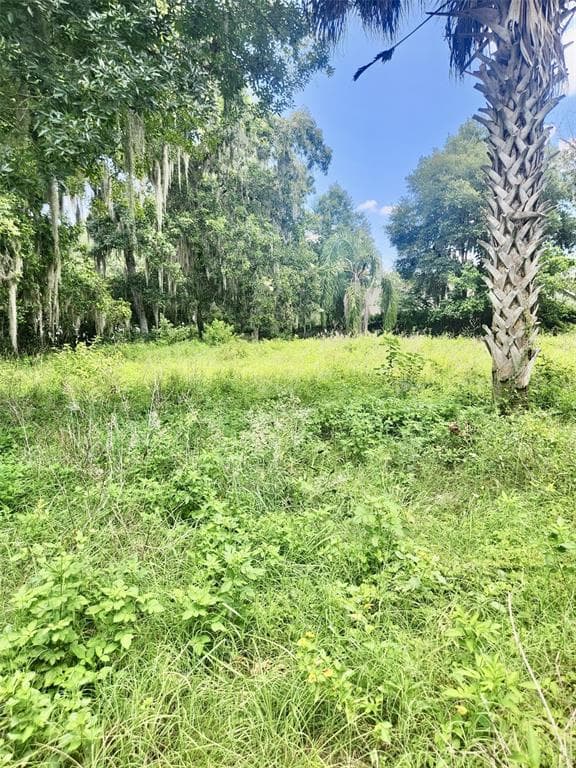 3072 N WHEATON POINT HERNANDO, FL 34442