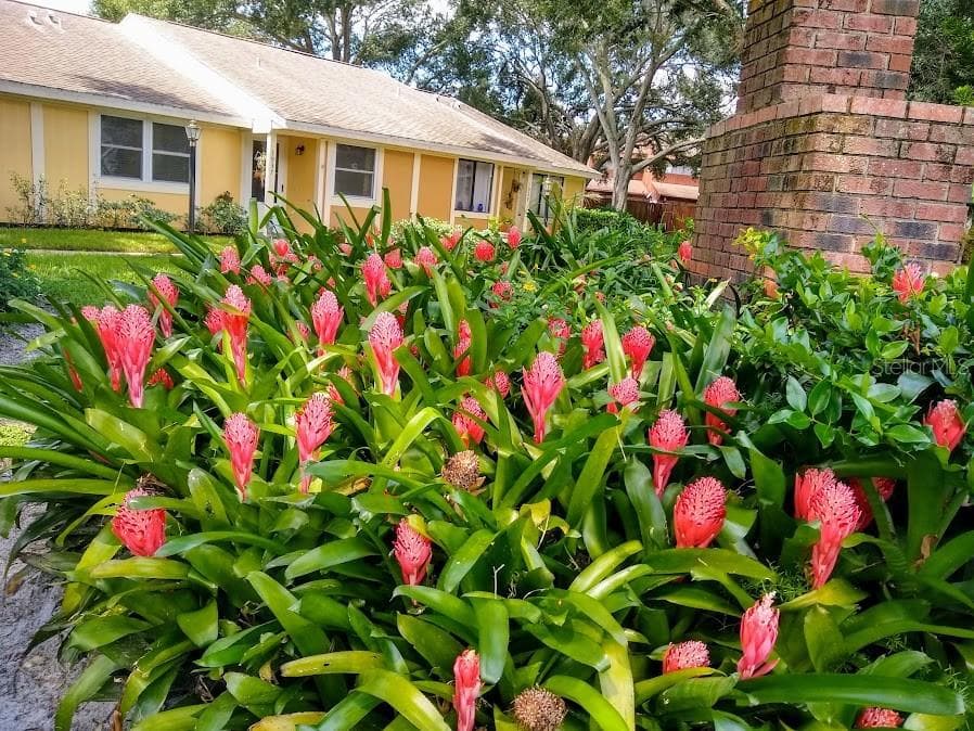 1937 PEPPERMILL DRIVE UNIT 4D CLEARWATER, FL 33763