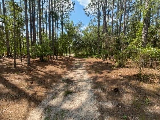 SW 99TH LANE DUNNELLON, FL 34432