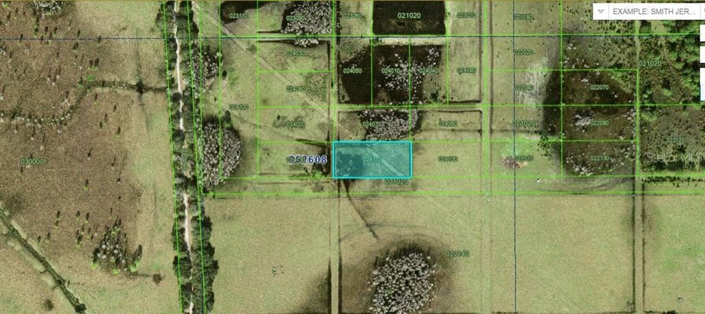 VAN FLEET ROAD POLK CITY, FL 33868