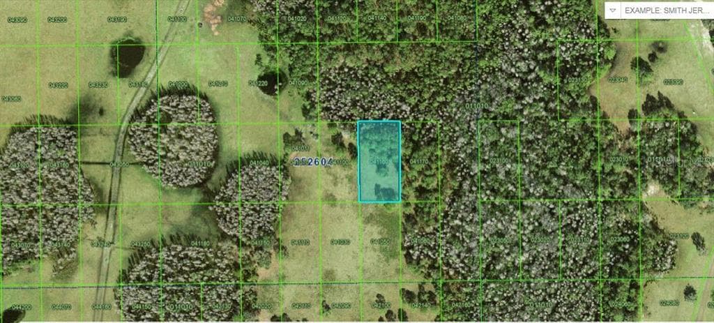COMMONWEALTH AVENUE N POLK CITY, FL 33868