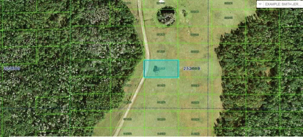 COMMONWEALTH AVENUE N POLK CITY, FL 33868