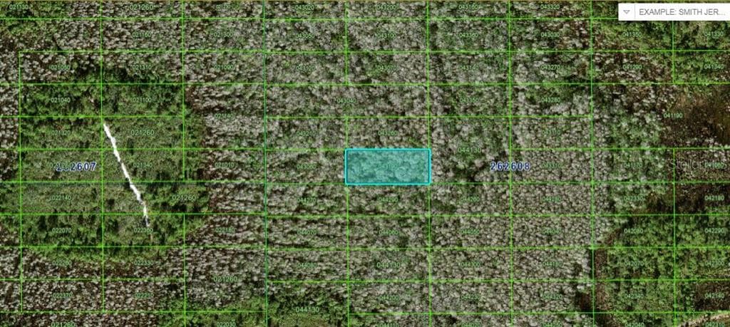 N/A POLK CITY, FL 33868