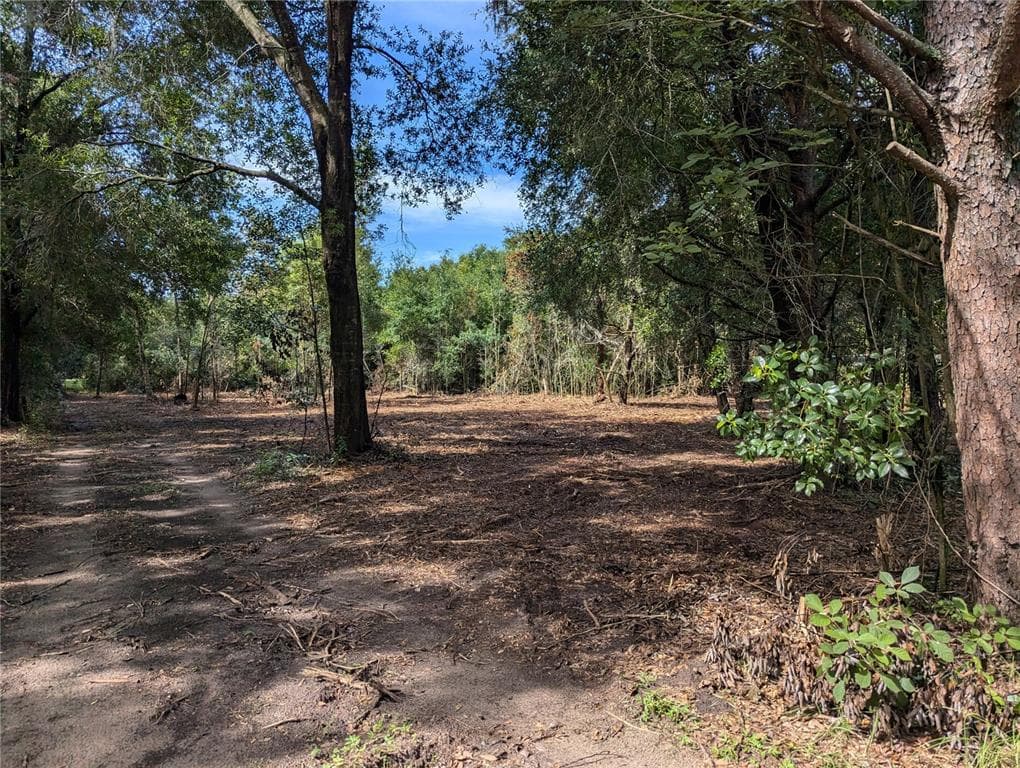 CHICKASAW TRAIL VALRICO, FL 33596