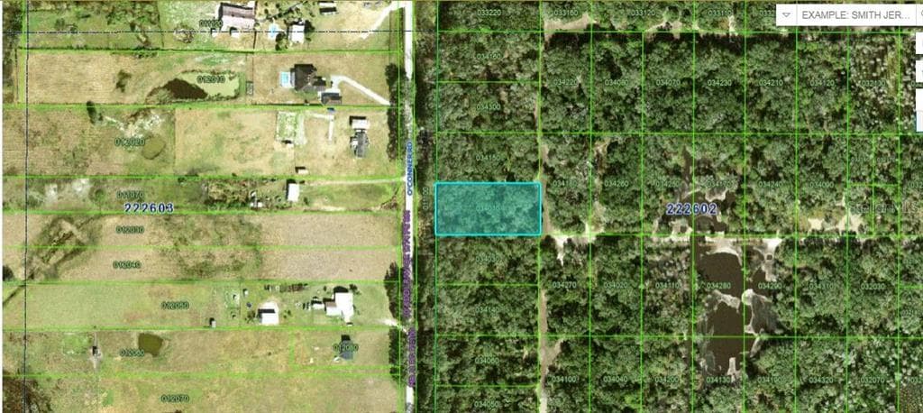 OCONNER ROAD KATHLEEN, FL 33849